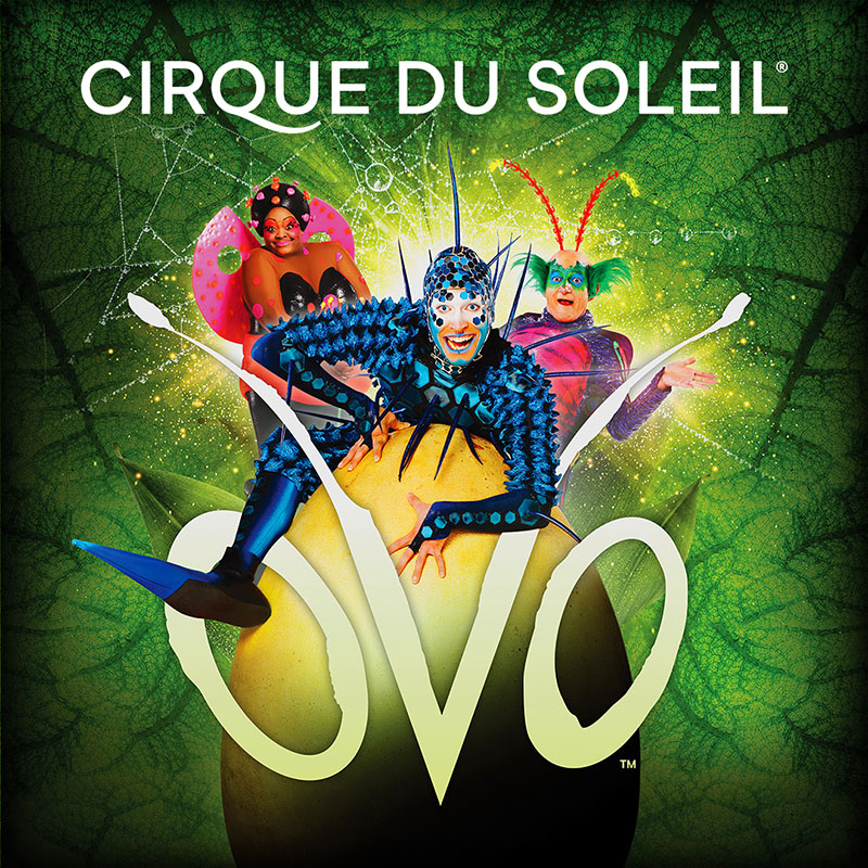 Cirque Du Soleil - Graphic Design Banner Ads